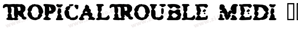 TropicalTrouble Medi字体转换